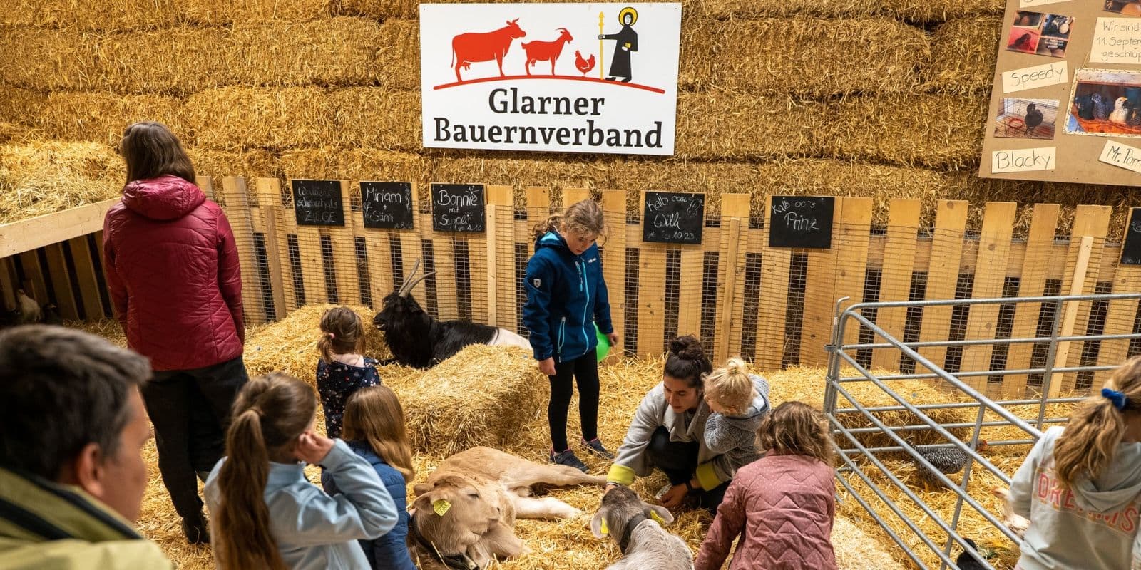 Glarner Messe 2025