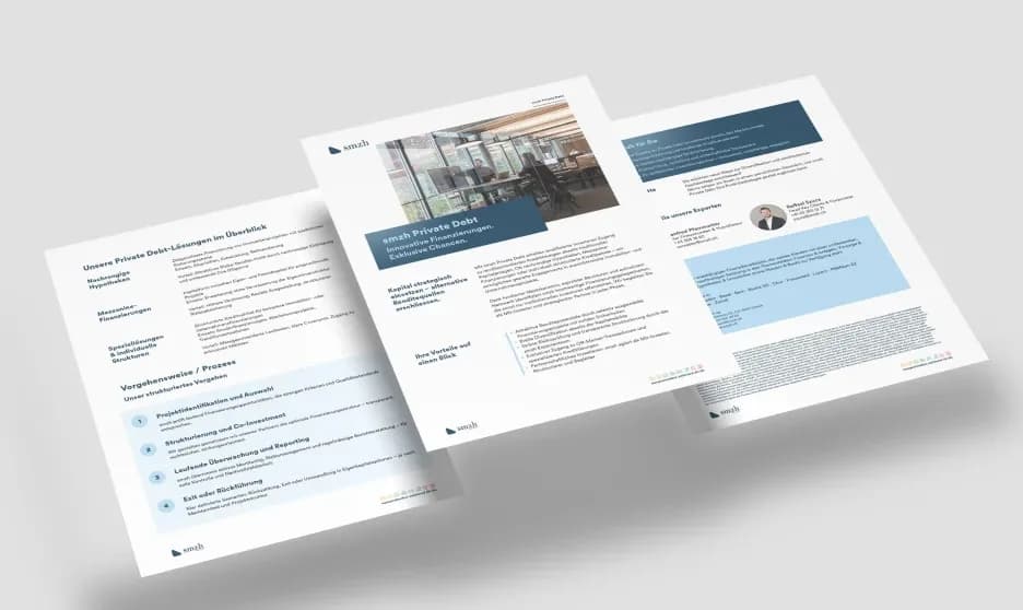 Private Debt Factsheet PDF