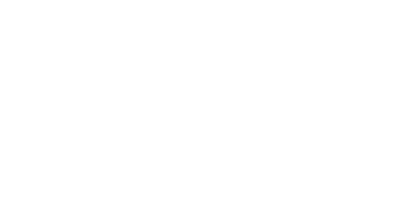 SMZH Logo Badge - Basel - White