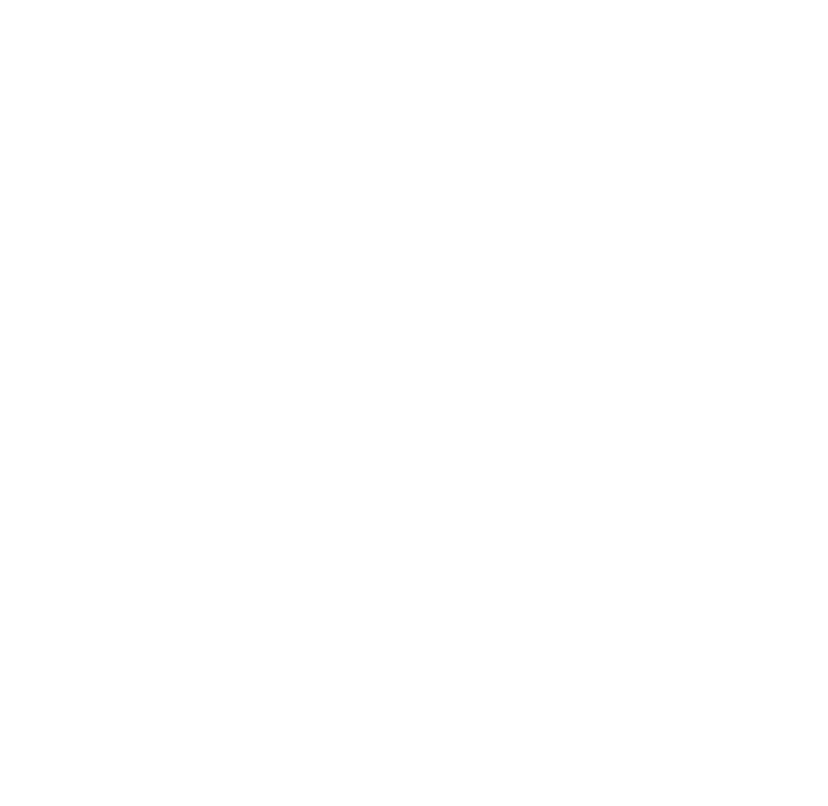 SMZH Icon - Aarau - White