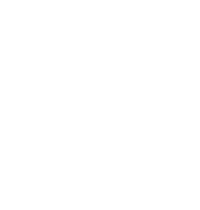 SMZH Icon - White