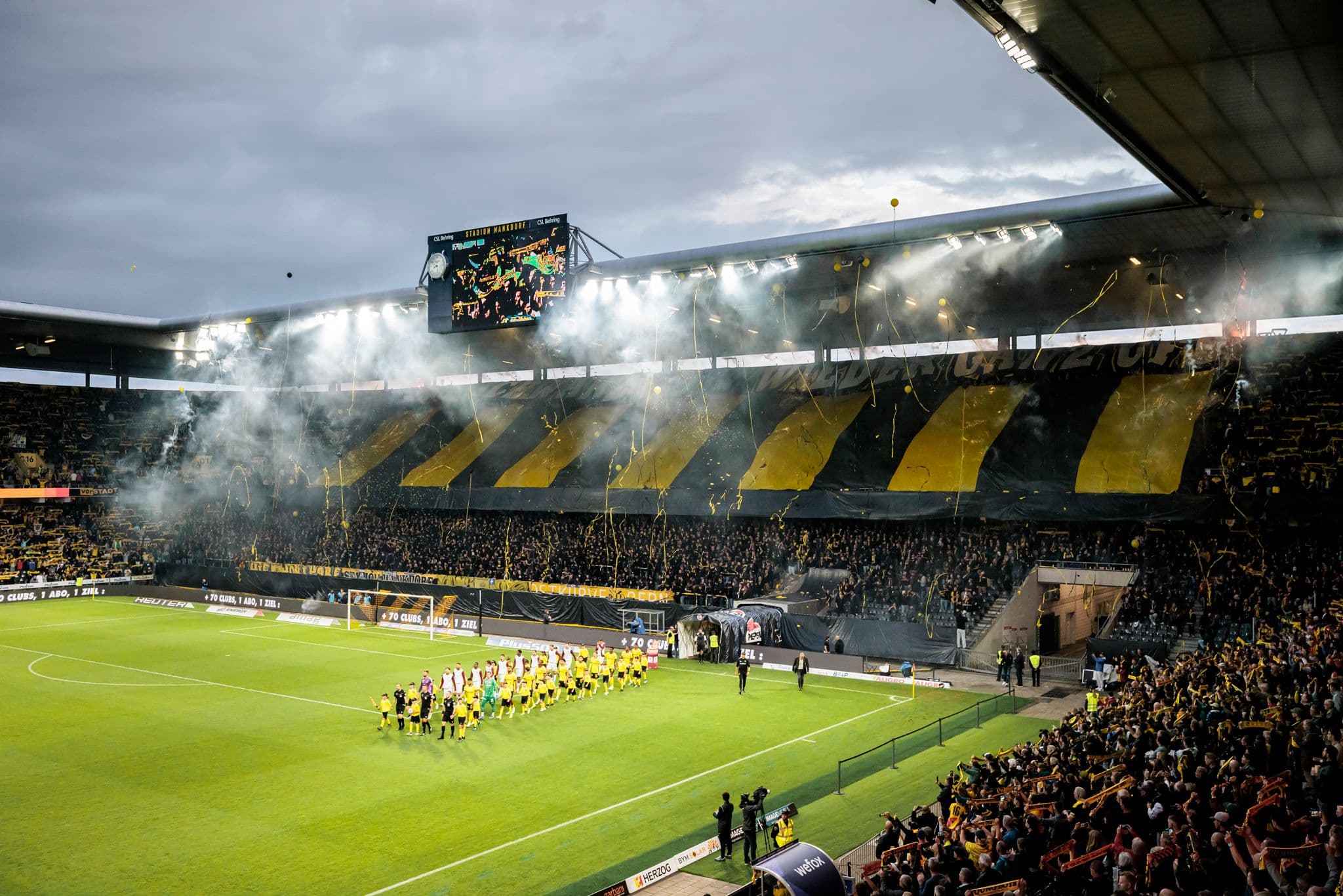 Fans des BSC Young Boys im Stadion